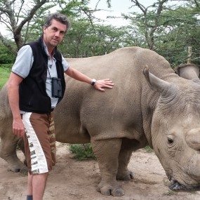 Sudan rhino